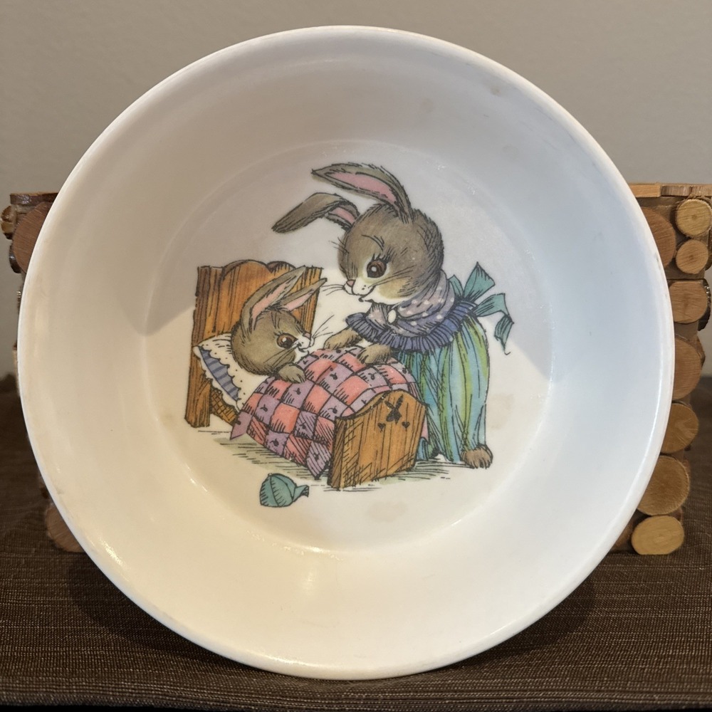 Vtg Oneida Deluxe 3243 Toddler Plastic Cereal Bowl Peter‎ Rabbit 6.5" Diameter